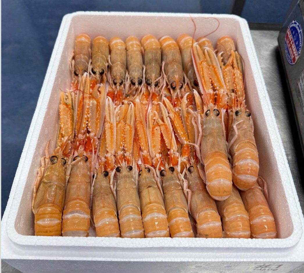 Cigalas frescas en caja